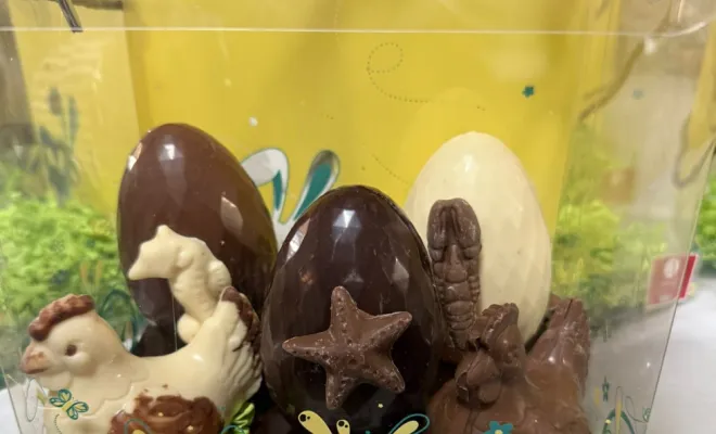 Poules et ses poussins